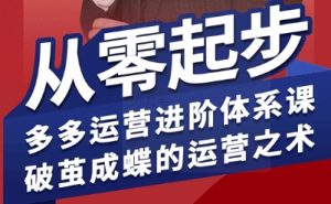 拼多多运营进阶系统课，从零起步，多多运营进阶体系课，破茧成蝶的运营之术(更新26年4月)-KJ分享