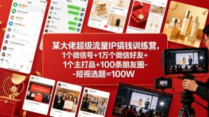 某大佬超级流量IP搞钱训练营，1个微信号+1万个微信好友+1个主打品+100条朋友圈-短视选题=100W-KJ分享