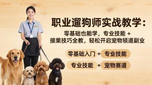职业遛狗师实战教学：零基础也能学，专业技能 + 接单技巧全教，轻松开启宠物赛道副业-KJ分享