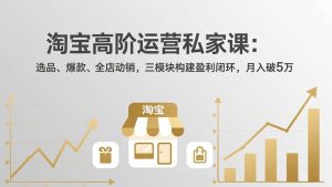 淘宝高阶运营私家课(更新26年4月18-KJ分享