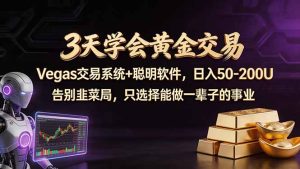 3天学会黄金交易,Vegas交易技术+聪明软件,日赚50-100U-KJ分享