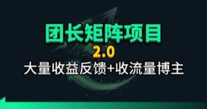 【团长合作2.0】视频矩阵项目_招发手矩阵+剪辑师，共赢项目【揭秘】-KJ分享