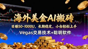 海外美金AI搬砖技术Vegas交易技术+聪明软件【训练营第七期】，日赚50-100U-KJ分享