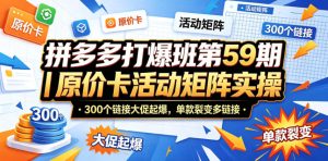 拼多多打爆班第59期｜原价卡活动矩阵实操，300个链接大促起爆，单款裂变多链接-KJ分享