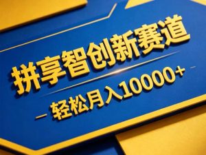 拼享智创新赛道，轻松月入1W+，门槛极低、收益稳定、可长期放大的轻资产项目【揭秘】-KJ分享