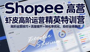 Shopee虾皮高阶运营精英特训营,高阶运营技巧+流量提升+转化率优化,助你业绩翻倍(更新26年5月)-KJ分享