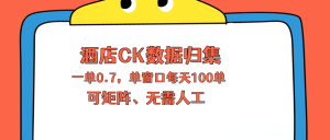 上班也能玩的酒店CK数据归集，一单0.7单窗口每天可做100单，一个人就能矩阵操作-KJ分享