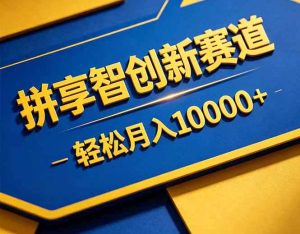 拼多多享智创新赛道，卖一切可以通过网盘链接交付的虚拟商品，轻松月入10000＋-KJ分享