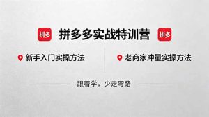 拼多多实战特训营(更新5月15-KJ分享
