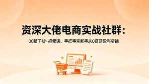资深大佬电商实战社群：30篇干货+视频课，手把手带新手从0搭建盈利店铺-KJ分享
