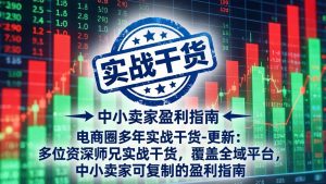 电商圈多年实战干货-更新5月20:多位资深师兄实战干货/覆盖全域平台,中小卖家可复制的盈利指南-KJ分享