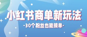 合新手小白操作的小红书商单新玩法,低粉丝也能接单,一个月接三单赚了150+!-KJ分享
