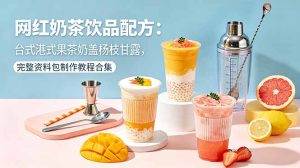 网红奶茶饮品配方：台式港式果茶奶盖杨枝甘露，完整资料包制作教程合集-KJ分享