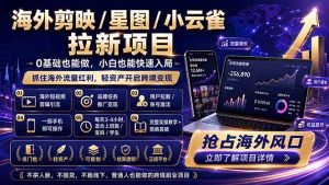 海外剪映 / 星图 / 小云雀拉新项目 普通人也能上手的跨境流量变现副业-KJ分享