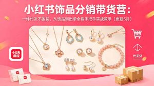 小红书饰品分销带货营：一件代发不囤货，从选品到出单全程手把手实战教学(更新5月-KJ分享
