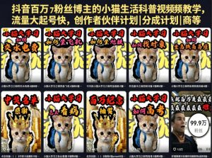 抖音百万粉丝博主的小猫生活科普视频教学,流量大起号快,创作者伙伴计划|分成计划|商单|收徒等-KJ分享