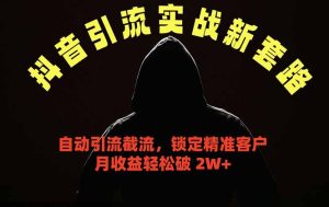 抖音引流实战新套路,挂机自动引流截流精准锁定客户,月收益破 2W+-KJ分享