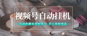 视频号自动挂G项目,自动化脚本省时省力,手工单价更高,日入300+全网最稳【揭秘】-KJ分享