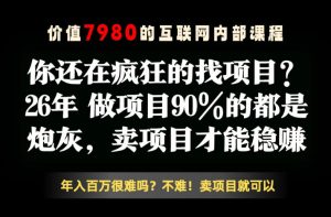 26年请不要疯狂的找项目了,卖项目远比你想象的暴利,你也可以月入10W+【揭秘】-KJ分享