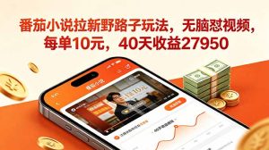 番茄小说拉新野路子玩法,无脑怼视频,每单10元,40天收益27950-KJ分享