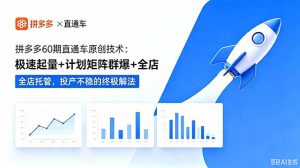 拼多多60期直通车原创技术:极速起量+计划矩阵群爆+全店托管,投产不稳的终极解法-KJ分享
