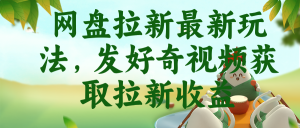 网盘拉新最新玩法,发好奇视频获取拉新收益-KJ分享