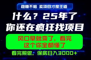 26年，请不要疯狂的找项目做了！卖项目才是真的稳賺不赔，看完照做，保底日入1k+【揭秘】-KJ分享