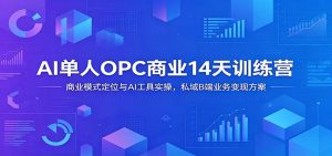 AI单人OPC商业14天训练营：商业模式定位与AI工具实操，私域B端业务变现方案-KJ分享