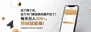 试了两个月，这个冷门赛道真的藏不住了！每天日入200+，照做就能赚！-KJ分享