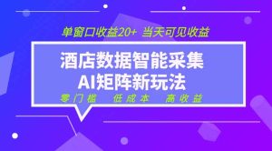 2026酒店数据采集ai智能矩阵新风口  低成本   高收益   当天见收益   单窗口20+-KJ分享