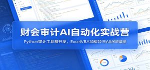 财会审计AI自动化实战营:Python审计工具箱开发,ExcelVBA加载项与AI协同编程-KJ分享