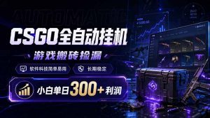 CSGO全自动挂机，游戏搬砖捡漏，软件科技简单易用，长期稳定，小白单日300+利润-KJ分享