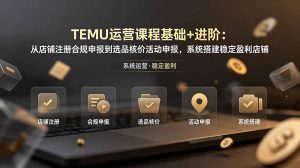 TEMU运营课程(基础+进阶-KJ分享
