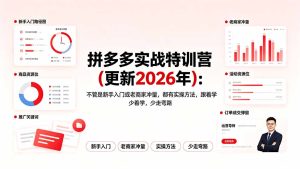 拼多多实战特训营(更新2026年-KJ分享