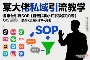 某大佬私域引流教学,各平台引流SOP(抖音快手小红书微信QQ等),思路+流程+话术+变现(更新0708)-KJ分享