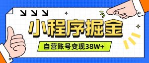 微信小程序掘金,团队自营小程序累计变现38W+,稳定运营三年,一部手机即可操作-KJ分享