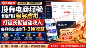 没有电商经验也能做多多虚拟，打造长期被动收入，每月稳定拿到1-3W收益【揭秘】-KJ分享