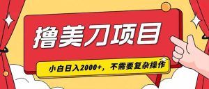 撸美刀，单日收入2000+，小白可做-KJ分享
