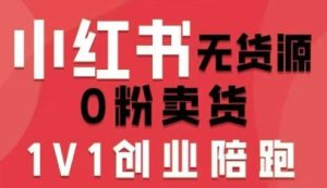 小红书无货源0粉电商课，开店准备、选品策略、笔记撰写、视频剪辑、数据分析、账号打造、资料文档(更新26年7月24日)-KJ分享