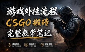 游戏挂机全流程笔记分享，CSGO游戏搬砖，小白看了当天学会见收益-KJ分享