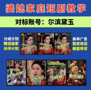 婆媳家庭AI短剧全套教学丨起号快，热门吸引女性粉丝，商单广告、橱窗带货、收徒裂变、伙伴分成等-KJ分享
