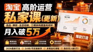 淘宝高阶运营私家课(更新26年-KJ分享