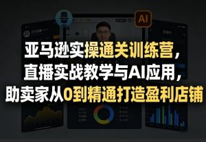 亚马逊实操通关训练营，直播实战教学与AI应用，助卖家从0到精通打造盈利店铺(更新8月8日)-KJ分享