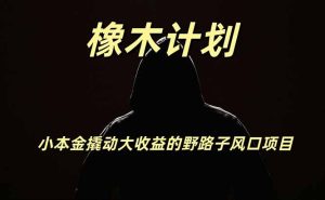 橡木计划,小投入撬动高回报的风口野路子项目,一天投入2小时左右-KJ分享