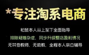 松鼠会电商VIP课程，从基础布局到高阶优化，助你掌握淘宝运营逻辑，提升店铺流量与转化(更新0815)-KJ分享