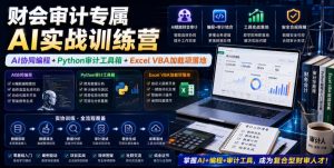 财会审计专属AI实战训练营|AI协同编程+Python审计工具箱+Excel VBA加载项落地(更新0816)-KJ分享