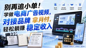 别再追小单!学做电商广告视频,对接品牌拿月付,轻松躺賺稳定收入【原创双语字幕】-KJ分享