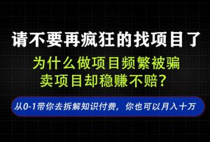 找项目?别傻了!卖项目才是真的一本万利!看完你全都懂了【揭秘】-KJ分享