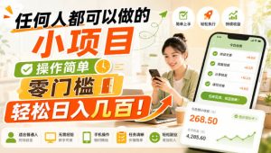 任何人都可以做的小项目:操作简单,零门槛轻松日入几百!【揭秘】-KJ分享