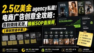 2.5亿美金agency私藏！电商广告创意全攻略：告别烧钱无效，模板SOP直接用【原创双语字幕】-KJ分享